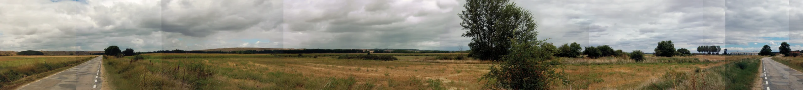 Panorámica de 360°: una carretera estrecha entre prados verdes, un árbol frondoso en el centro y una hilera de chopos en el horizonte bajo un cielo encapotado.